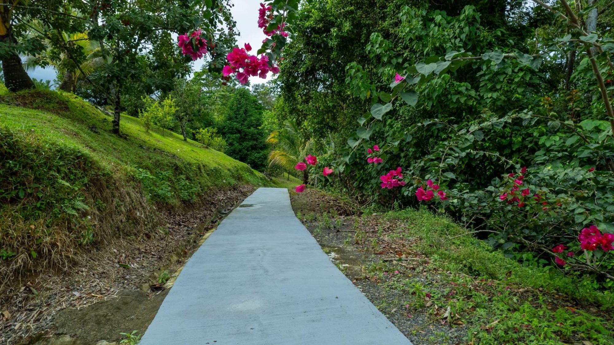 Serenity Rainforest Condos La Fortuna 외부 사진